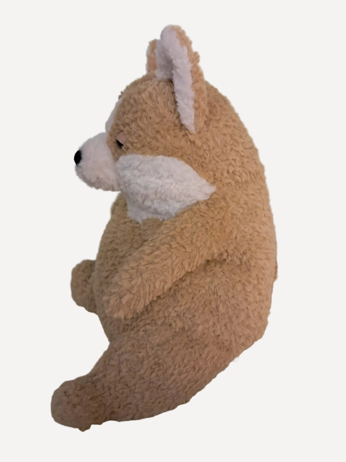 001 Jellycat ♡Amore Corgi♡