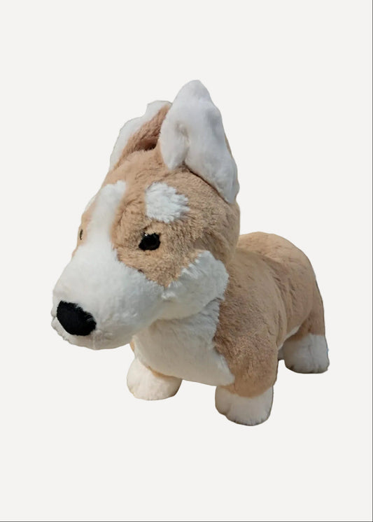 001 Jellycat ♡Betty Corgi♡ (預訂商品)