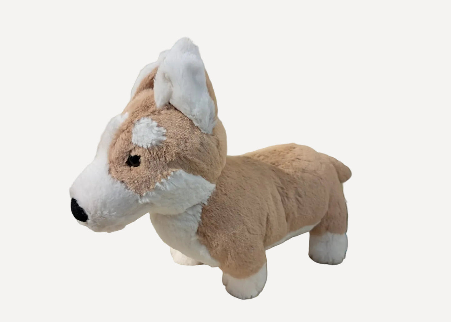 001 Jellycat ♡Betty Corgi♡ (預訂商品)
