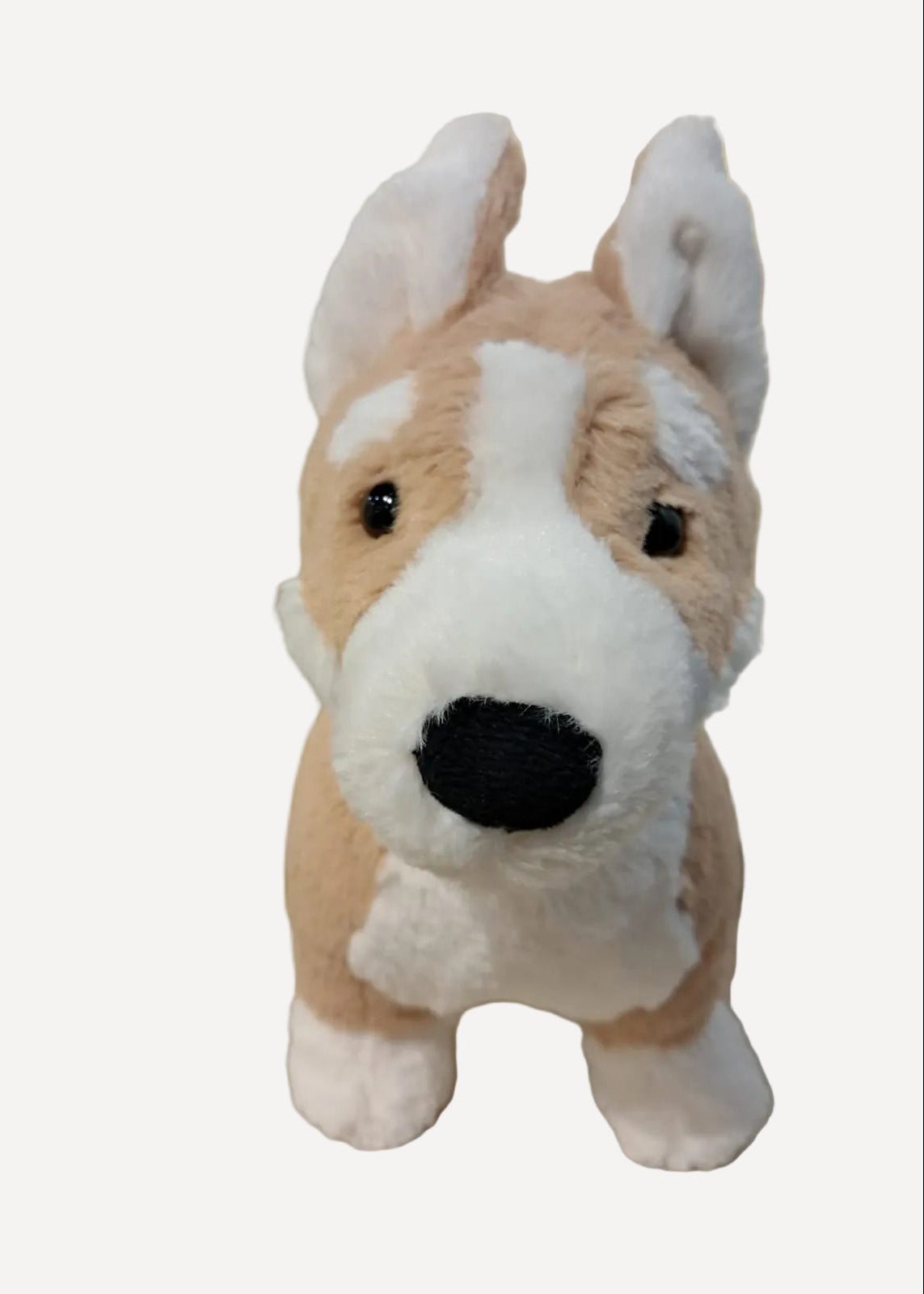 001 Jellycat ♡Betty Corgi♡ (預訂商品)