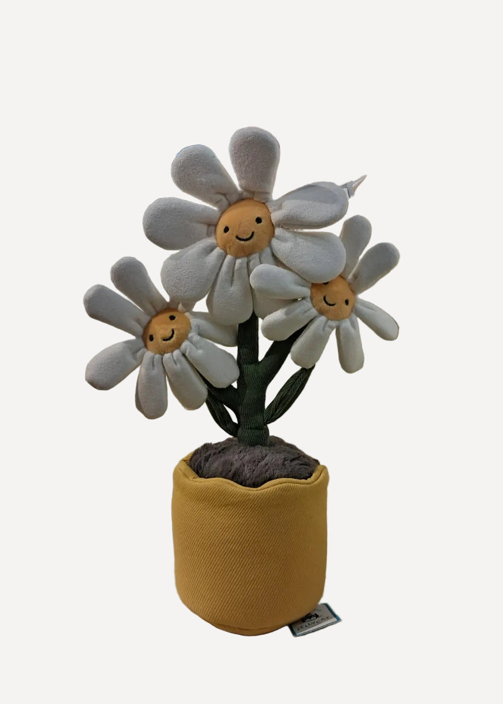 001 Jellycat ♡Daisy♡