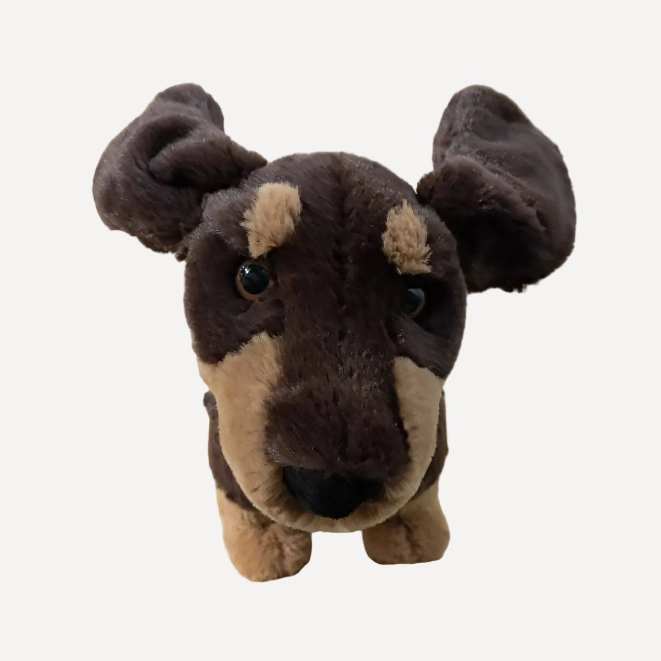 Jellycat ♡Otto Sausage Dog♡
