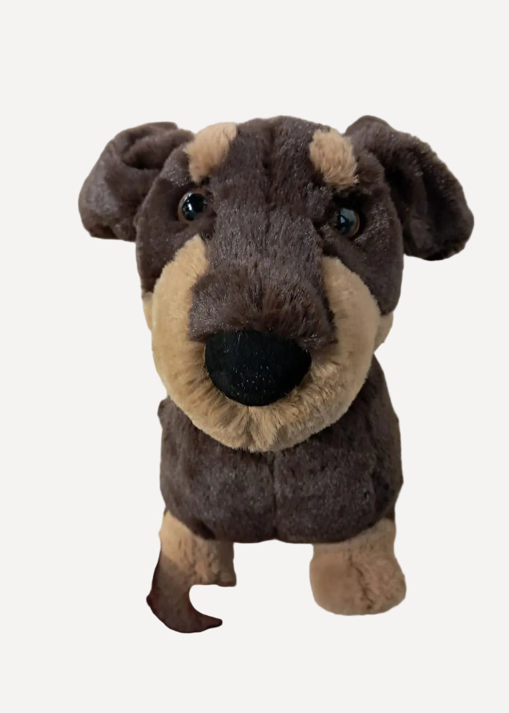 Jellycat ♡Otto Sausage Dog♡