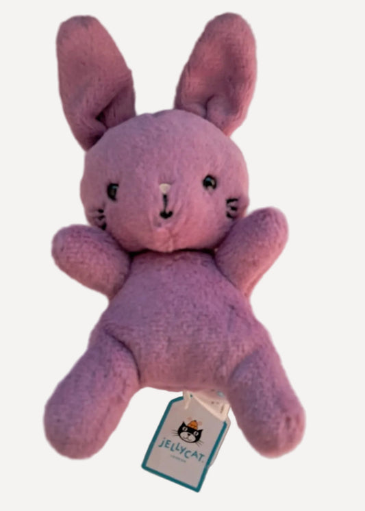 001 Jellycat ♡Sweetsicle Bunny♡ (預訂商品)