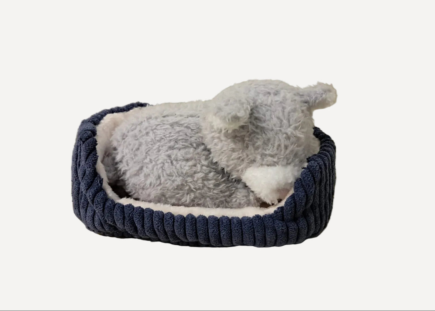 001 Jellycat ♡Napping Nipper Cat♡ (預訂商品)