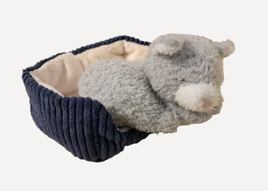 001 Jellycat ♡Napping Nipper Cat♡ (預訂商品)